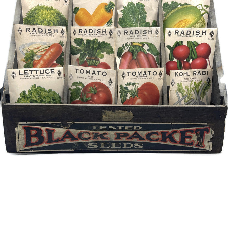 Vintage Original 1920’s Seed Display Case/ Box