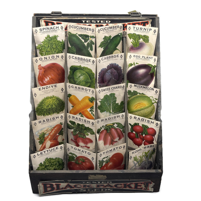 Vintage Original 1920’s Seed Display Case/ Box