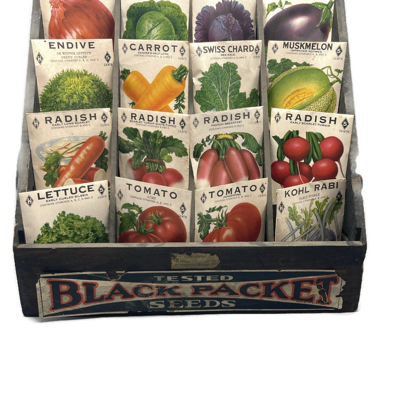 Vintage Original 1920’s Seed Display Case/ Box