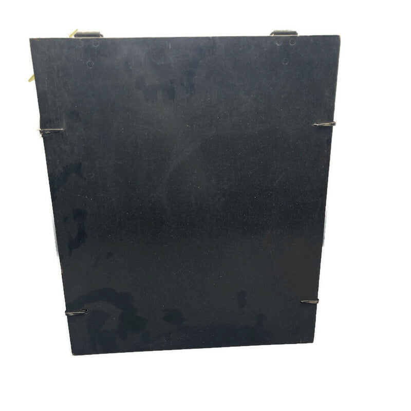 Vintage Original 1920’s Seed Display Case/ Box