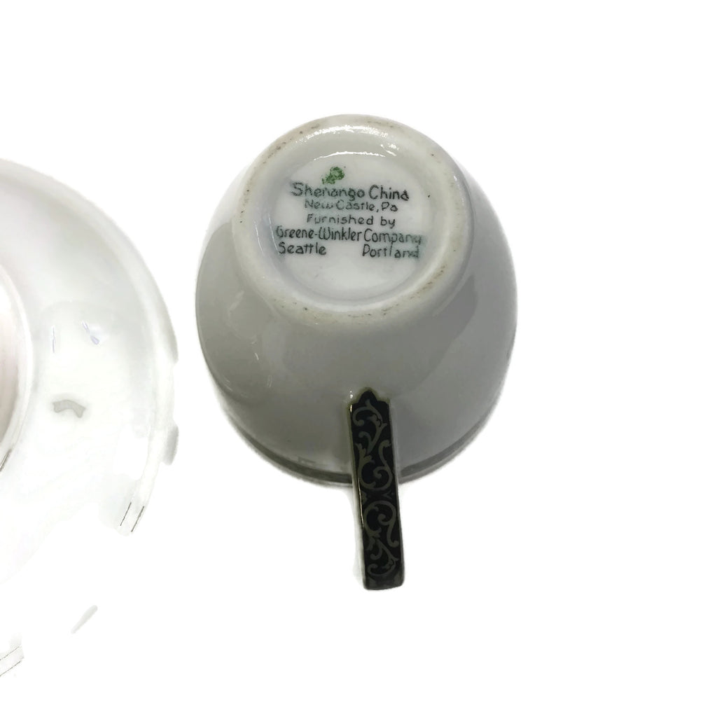 Vintage Shenango China Alaska P.R. Demitasse Cup & Saucer