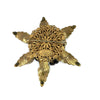 Vintage Miriam Haskell Star Brooch