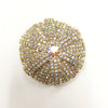 Vintage Large Iridescent Rhinestone Brooch & Earring Set