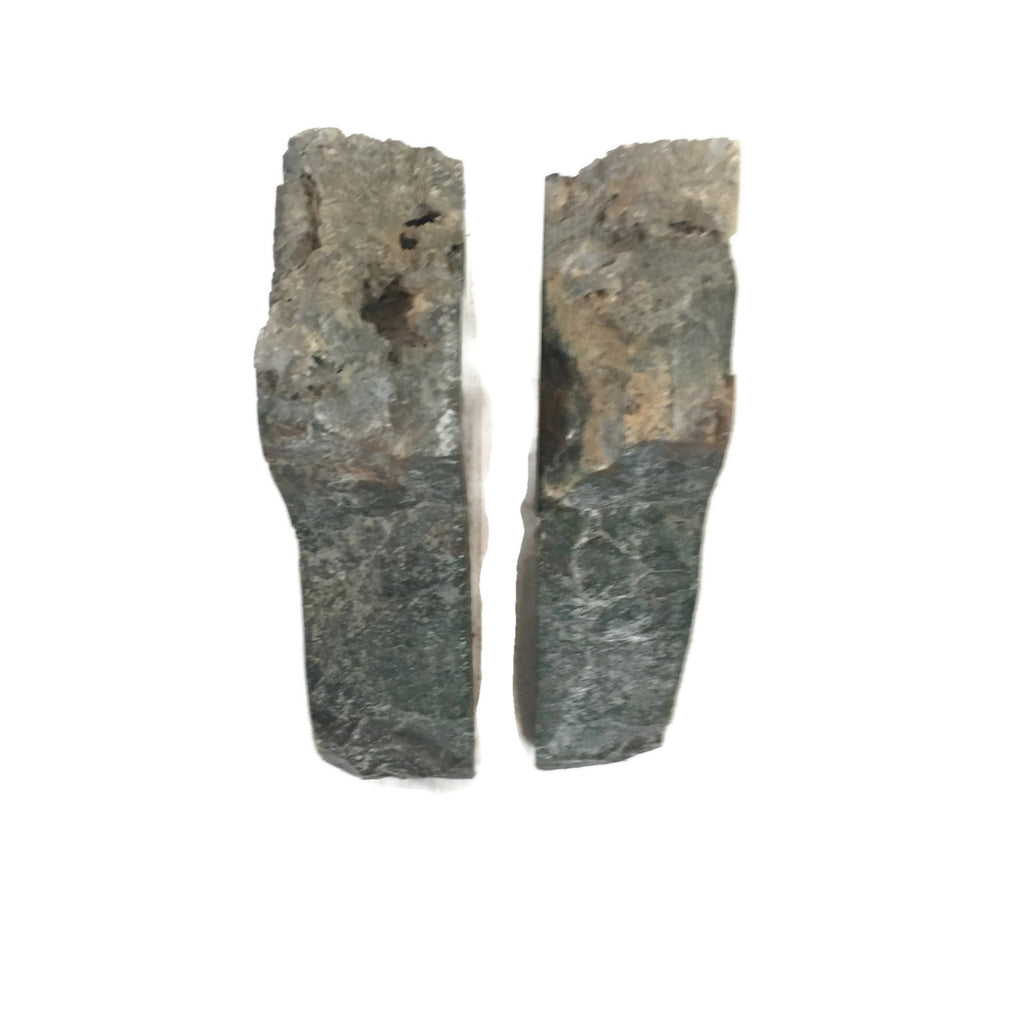 Pair of vintage Petrified Wood Bookends