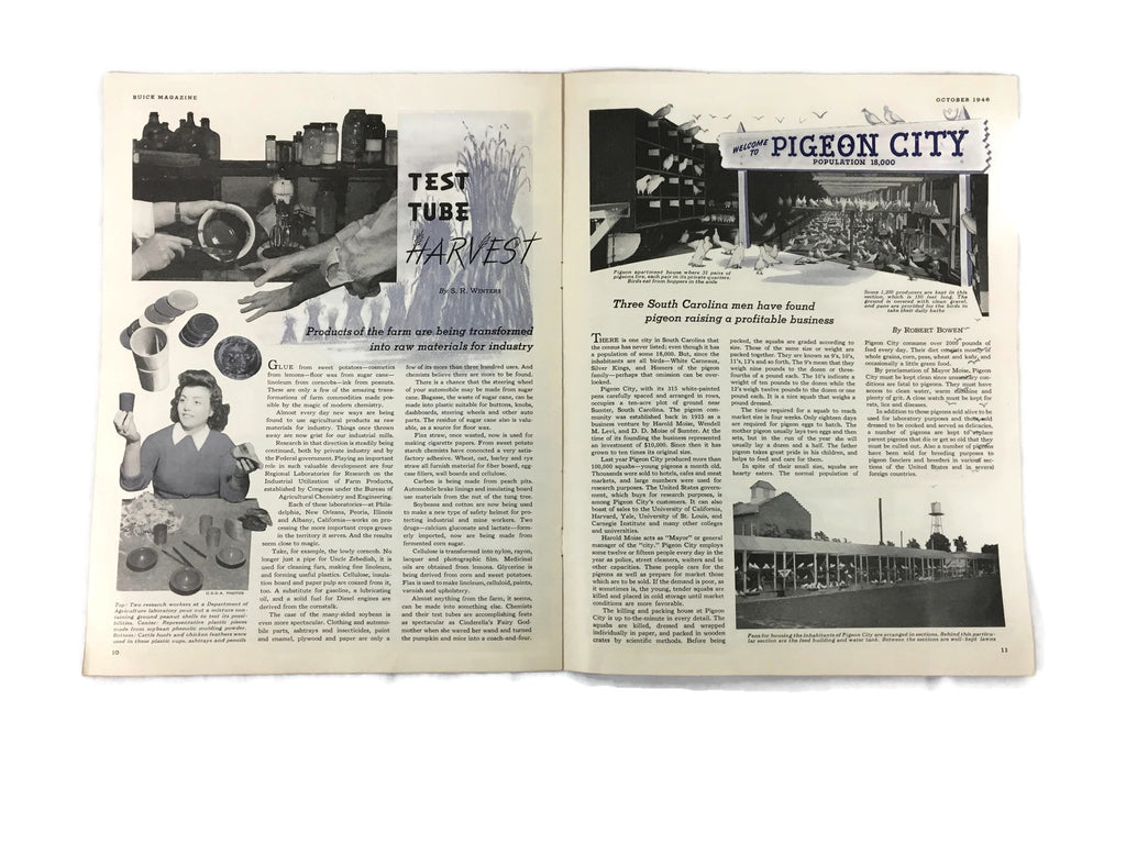 Vintage 1946 October Halloween Buick Magazine