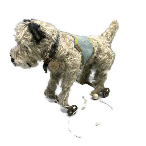 Circa 1910 Antique Rare “Caesar” Mohair Terrier Pet Dog Of King Edward The 7th