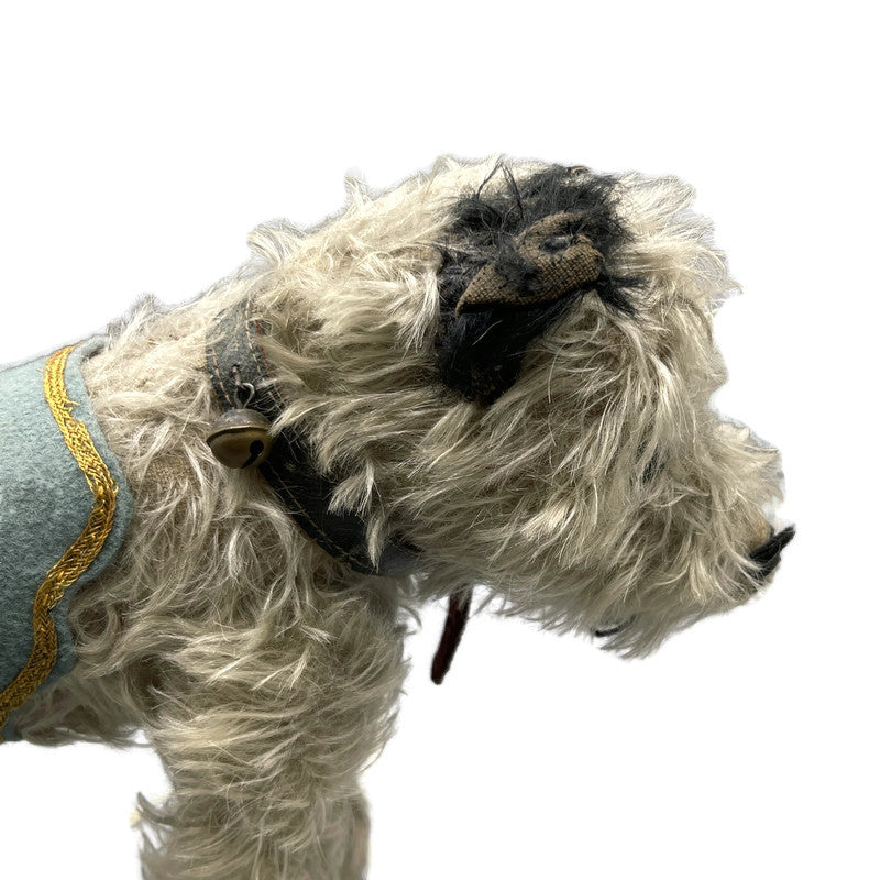 Circa 1910 Antique Rare “Caesar” Mohair Terrier Pet Dog Of King Edward The 7th