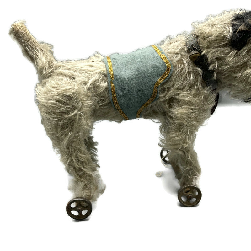 Circa 1910 Antique Rare “Caesar” Mohair Terrier Pet Dog Of King Edward The 7th