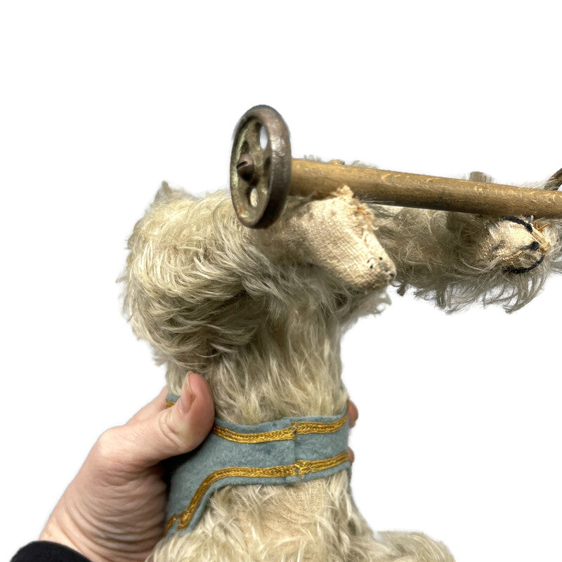 Circa 1910 Antique Rare “Caesar” Mohair Terrier Pet Dog Of King Edward The 7th