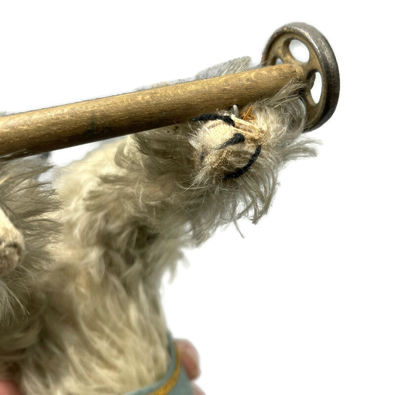 Circa 1910 Antique Rare “Caesar” Mohair Terrier Pet Dog Of King Edward The 7th