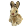 Vintage 1950’s Small Steiff Sitting Bunny