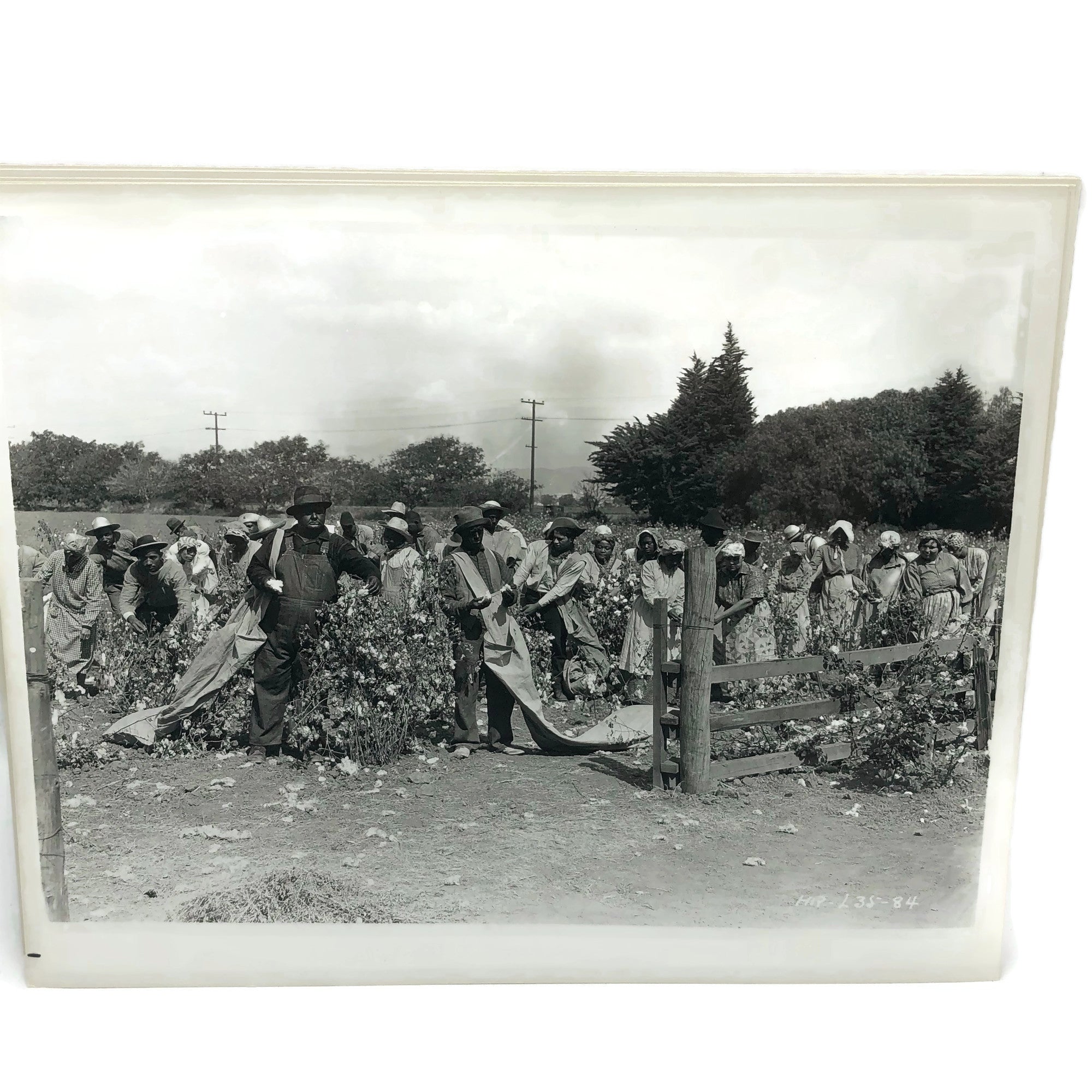 Vintage New Mint Condition Laurel & Hardy Still From Pardon Us