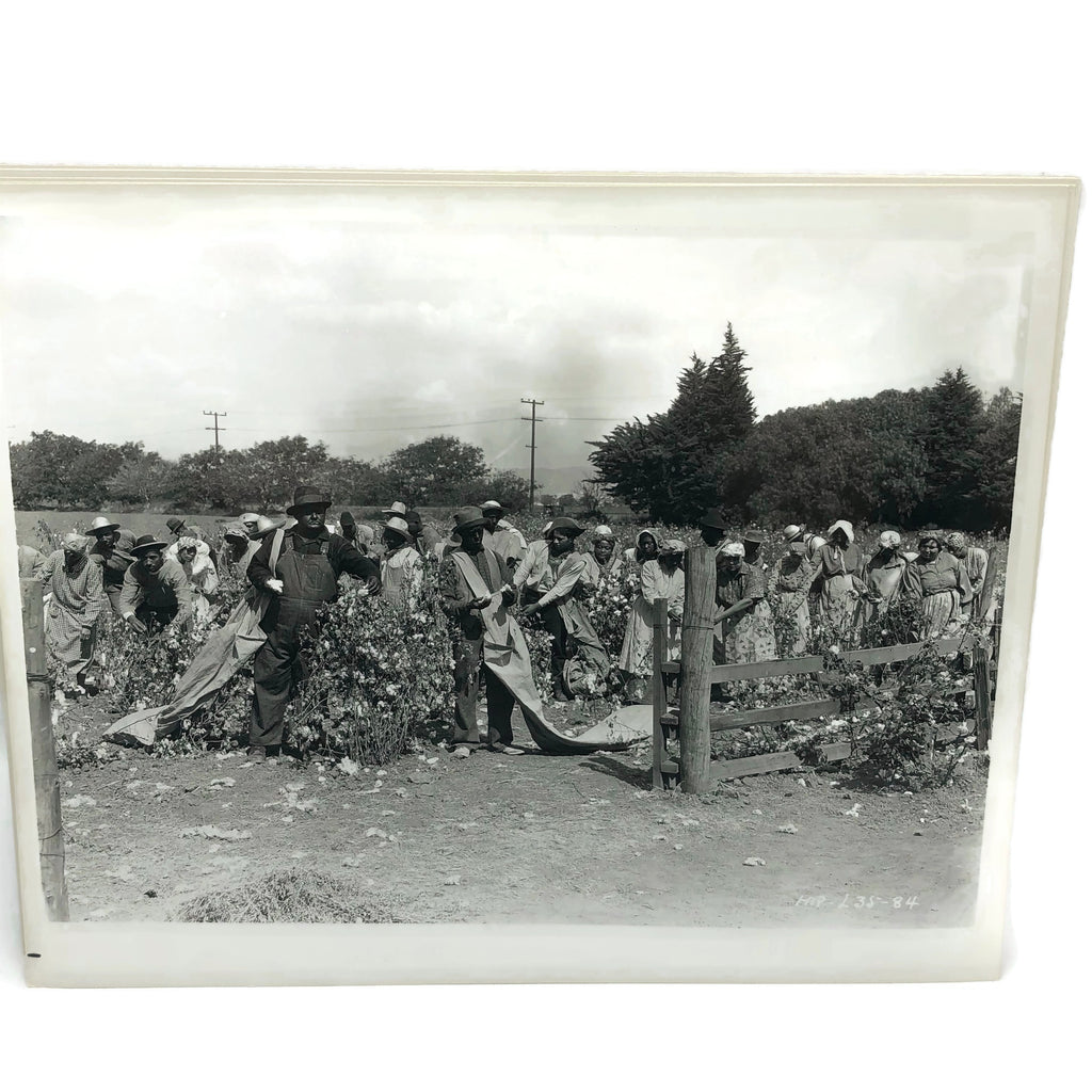 Vintage New Mint Condition  Laurel & Hardy Still From Pardon Us