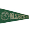 Small Early Hawaiian Pennant