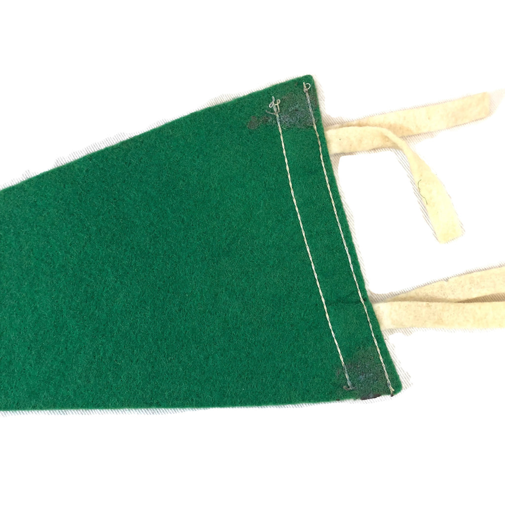 Small Early Hawaiian Pennant