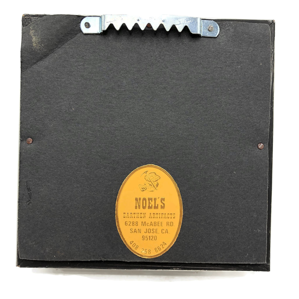 Vintage LaBrea Tar Pit Framed Beetle Fossil