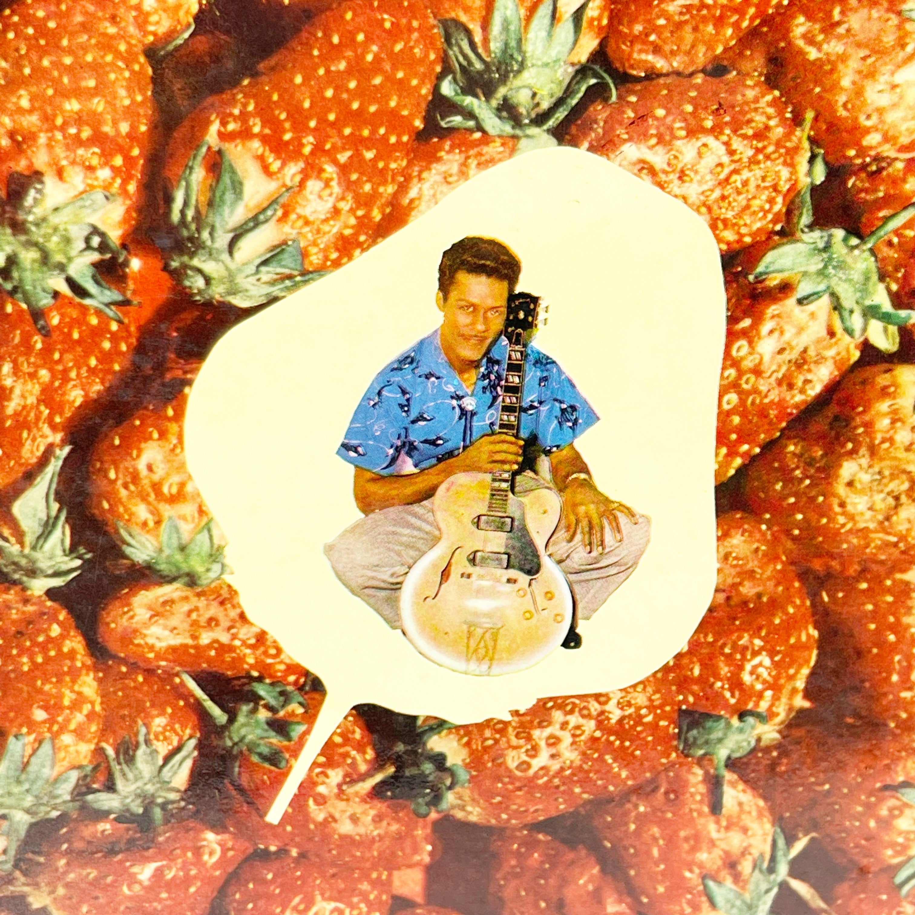 Vintage Chuck Berry One Dozen Berrys 1958 LP Album