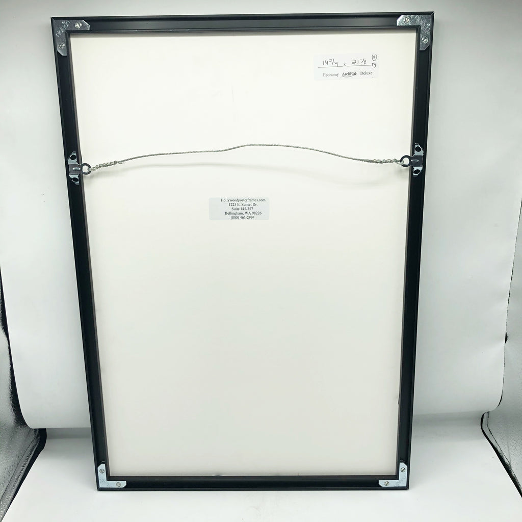 Newly Vintage Professionally Framed Disneyland Print Pirates Of The Caribbean Ride