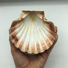 Antique Coney Island Seashell Souvenir Inkwell
