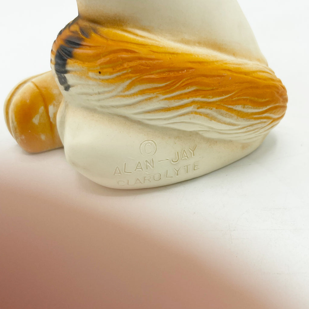 Vintage Alan-Jay Clorolyte Raccoon W. Clarinet Squeak Toy