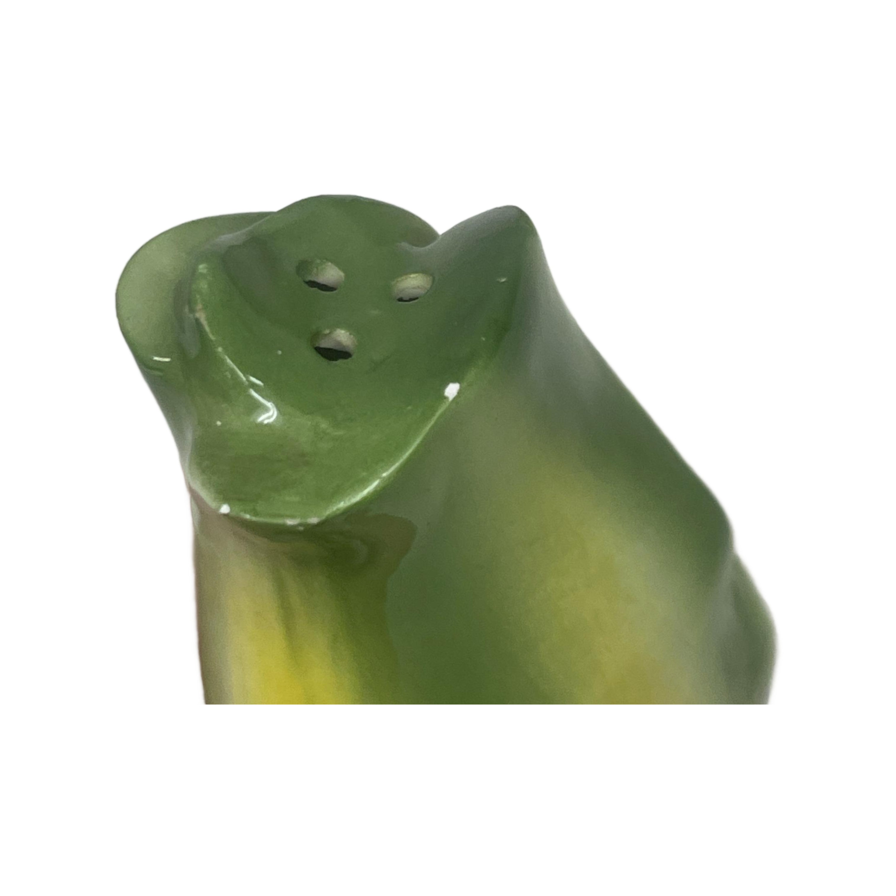 Vintage Corn & Lettuce Salt & Pepper Shakers