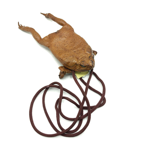 Vintage Leather Toad Coin Purse