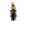 Beautiful Green Swarovski Crystal Paradise Grasshopper