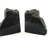 Pair of vintage Petrified Wood Bookends