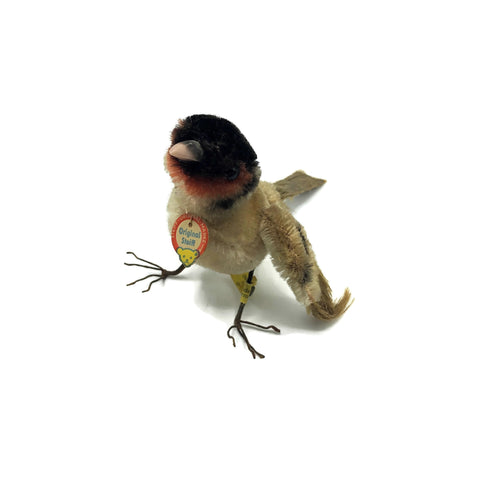 Rare Vintage Steiff Mohair Sparrow Bird 