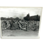 Vintage New Mint Condition  Laurel & Hardy Still From Pardon Us