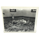 Vintage New Mint Condition  Laurel & Hardy Still From Hog Wild