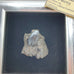Vintage LaBrea Tar Pit Framed Beetle Fossil