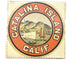 Vintage 1940’s N.O.S. Catalina Island California Decal Sticker