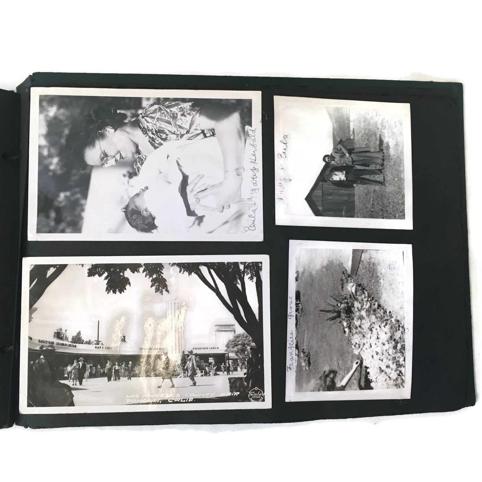 Vintage Photo Album w/ 80+ Photographs