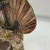 Antique Coney Island Seashell Souvenir Inkwell